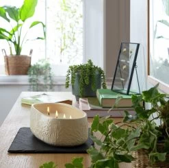 Habitat Large Scallop Multiwick Thin Candle - Flower Market -Habitat 1182673 R Z001C