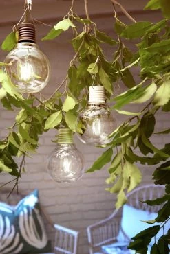 Habitat Coloured Cap Filament Solar Lightbulb - Pack Of 3