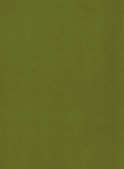 Habitat Alexis Velvet Cocktail Chair - Olive -Habitat 1341287 R B001