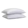 Habitat Anti-Allergy Medium Pillow - 2 Pack -Habitat 2007867 R Z001A