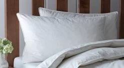 Habitat Anti-Allergy Firm Pillow - 2 Pack -Habitat 2910765 R Z002A