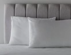 Habitat Anti-Allergy Firm Pillow - 2 Pack -Habitat 2910765 R Z004C