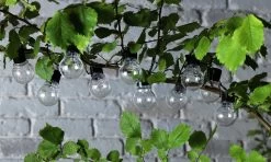 Habitat 20 Warm White Festoon Solar Lights -Habitat 9133916 R Z006A