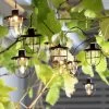 Habitat 10 Warm White Caged Bulb LED Solar String Lights -Habitat 9298057 R Z003C