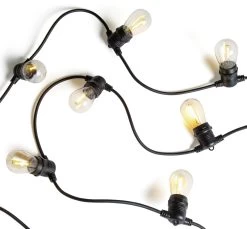 Habitat Warm White Filament Bulb Festoon Lights -Habitat 9556562 R Z001A