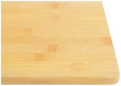 Habitat Set Of 4 Bamboo Placemats -Habitat 9639788 R Z003A